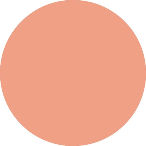 Ай кеа мягкая компактная пудра для лица Натуреле 10г №2
