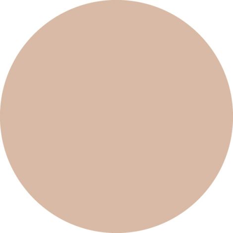 Ай кеа пудра придающая сияние Шампэйж 8,5г №2